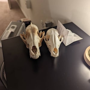 Crystal added a photo of their purchase