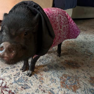 Kayla heeft een foto van de aankoop toegevoegd