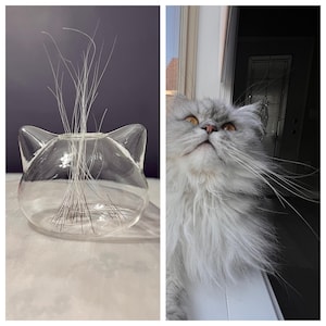 Lisa added a photo of their purchase