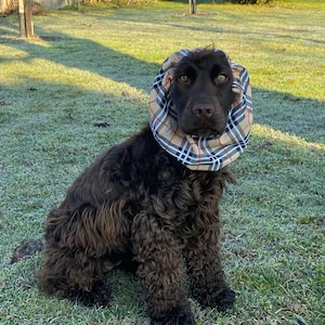 Sophie added a photo of their purchase