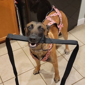 Lauren さんが購入した商品の写真を追加しました