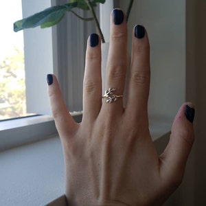 Ris added a photo of their purchase