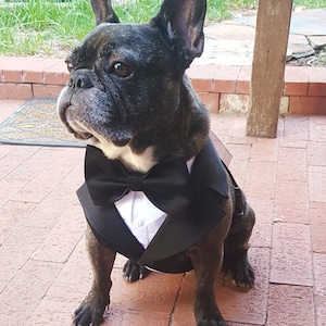 Amanda ha añadido una foto de su compra