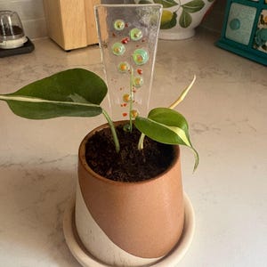 Shelley added a photo of their purchase