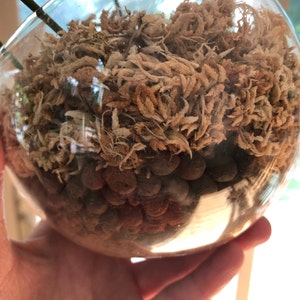 Angie added a photo of their purchase