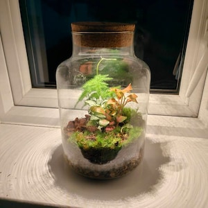 Robert added a photo of their purchase