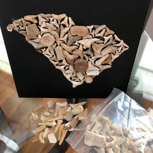 Petra added a photo of their purchase
