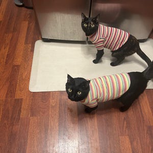 Teri added a photo of their purchase