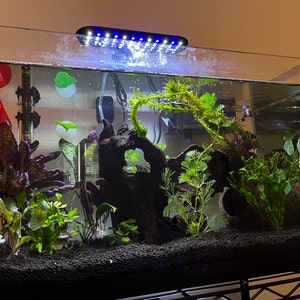 jazzi added a photo of their purchase