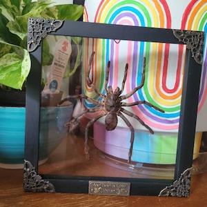 Marissa added a photo of their purchase