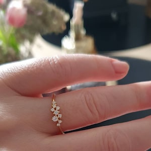 Petra added a photo of their purchase
