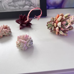 Vanessa added a photo of their purchase