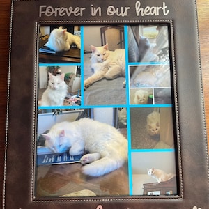 Suzette added a photo of their purchase