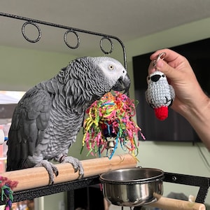 Arlene added a photo of their purchase