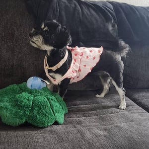 Tiara added a photo of their purchase
