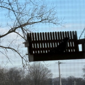 Sharon added a photo of their purchase