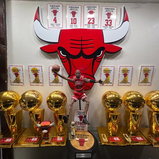 Championship Trophy Case  Trophy case, United center chicago, Chicago bulls