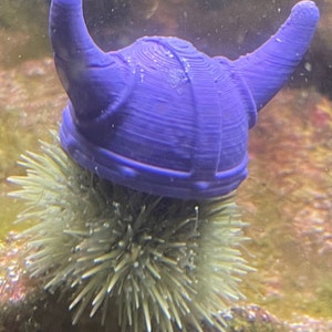 Sea Urchin Hats 4 Pack - Etsy Canada