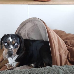 Nvtnl added a photo of their purchase