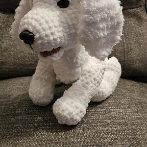 Lacey ha añadido una foto de su compra