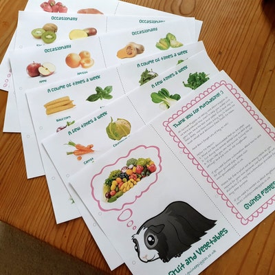 Guinea Pig Food List Printable PDF Safe Fruits &amp; Vegetables Chart for ...