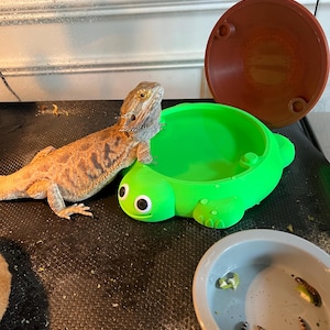 Amy added a photo of their purchase