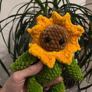 Dorottya hat ein Foto des gekauften Artikels hinzugefügt