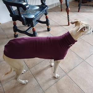 Eddy added a photo of their purchase