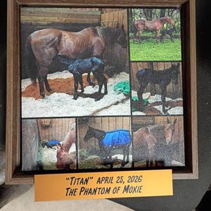 Sheri added a photo of their purchase