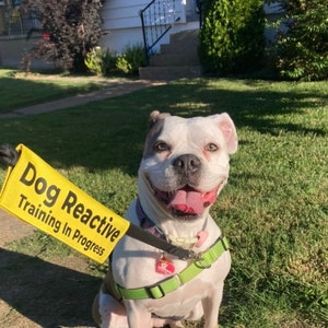Audrey added a photo of their purchase