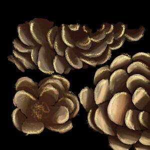 Emily added a photo of their purchase