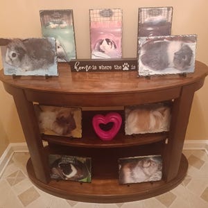 Photo Rock Slate Pet Lovers Pet Memorial Custom Personalized Mothers Day Fathers Day Gift with pets picture