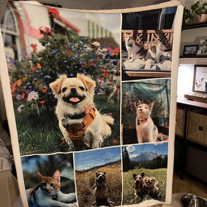 Anela added a photo of their purchase