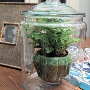 Eddie added a photo of their purchase