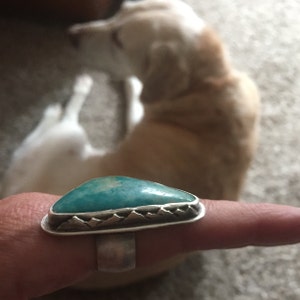 Jen added a photo of their purchase