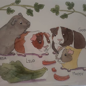 Honeybun a ajouté une photo de son achat