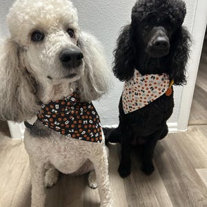 Casey added a photo of their purchase