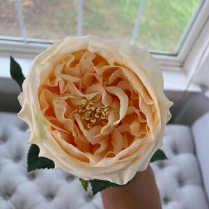 24 Faux Austin Roses, Real Touch Fake Rose, Blush Cream Ivory, DIY ...