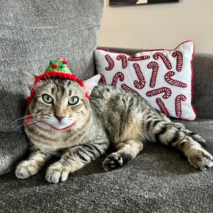 Melissa added a photo of their purchase