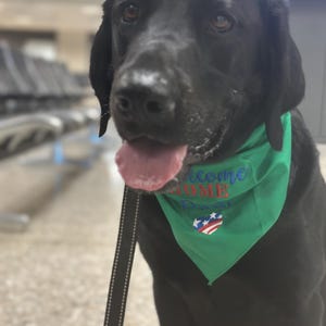 Laura added a photo of their purchase