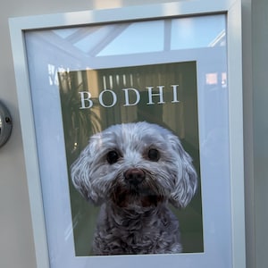 Zoe added a photo of their purchase