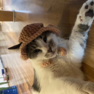 Ana added a photo of their purchase