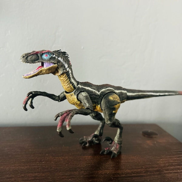 Hc Raptor HC JP3 Male Raptor Upgrade Kit by Marco Makes - Etsy