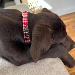 Katie a ajouté une photo de son achat