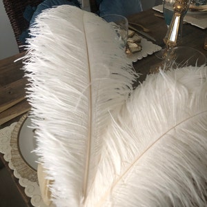 Piokio 20 pcs Natural Black Ostrich Feathers 6-8 inch(15-20 cm