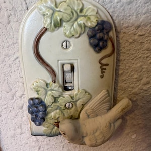 Alexa adicionaram uma foto da sua compra