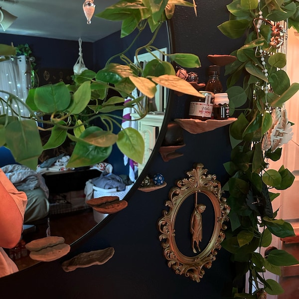 Mushroom Floating Shelf - the Trametes Fungus, Fungi Wall Shelf ...
