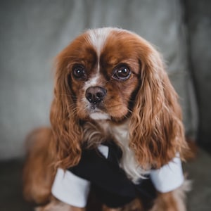 Natalie added a photo of their purchase