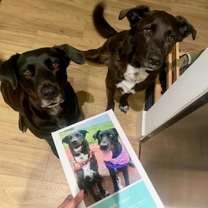 Kiersten added a photo of their purchase