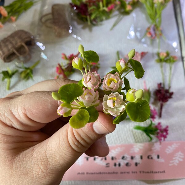 5 Miniature Poinsettia Bunch of Flower,miniature Red Color Flower ...